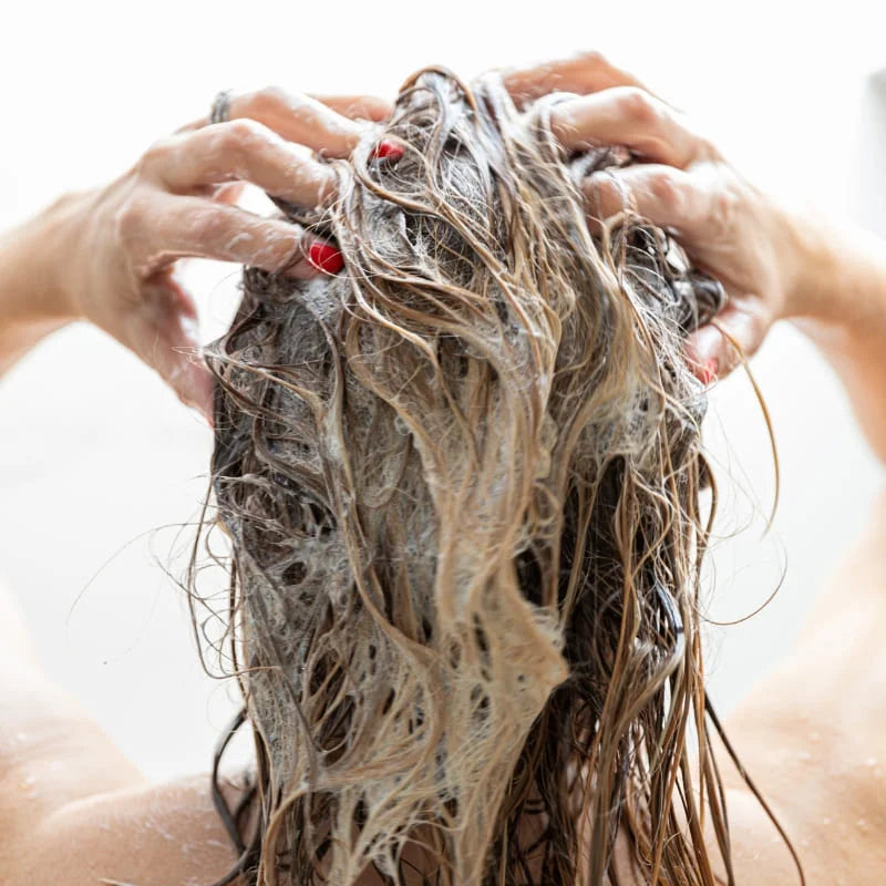 mousse du shampoing solide après application sur cheveux mouillés