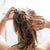 application shampoing solide sur cheveux moulliés